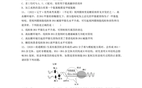 专题19基因的表达（精练）（原卷版）_新高考复习资料_2024年新高考复习资料_一轮复习资料_完备战2024年高考生物一轮复习串讲精练（新高考专用）_精练