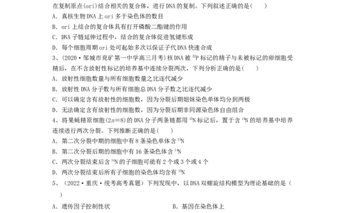 专题18DNA分子的结构、复制及基因的本质（精练）（原卷版）_新高考复习资料_2024年新高考复习资料_一轮复习资料_完备战2024年高考生物一轮复习串讲精练（新高考专用）_精练