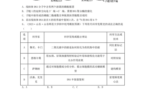 专题18DNA分子的结构、复制及基因的本质（精练）（原卷版）_新高考复习资料_2024年新高考复习资料_一轮复习资料_完备战2024年高考生物一轮复习串讲精练（新高考专用）_精练