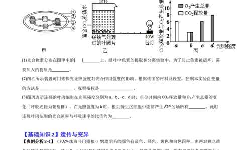 专题15非选择题必刷（6大题型）（原卷版）_2025年新高考资料_二轮复习_2025年高考生物二轮热点题型归纳与变式演练（新高考通用）3404350_专题15非选择题必刷（6大题型）