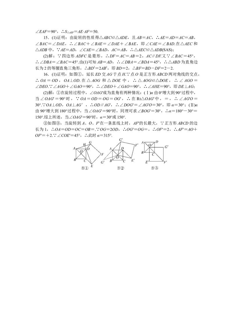 专项训练五　图形的旋转_初中全科电子版试卷练习试题_数学_9下初中人教版数学练习、试卷_人教数学九年级下专项练习（010份）_期末专项）初中9年级下册10份