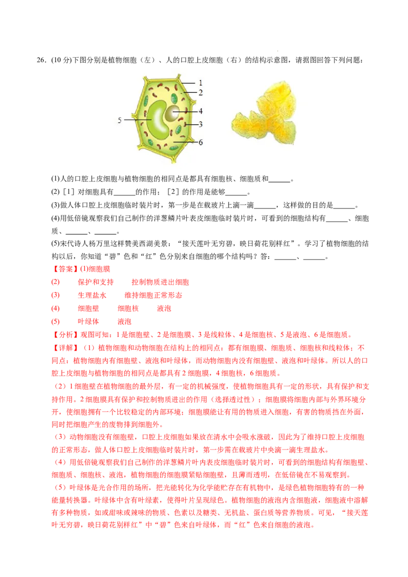 七年级生物期末模拟卷（全解全析）（）_初中全科电子版试卷练习试题_生物_生物人教版7上练习&mdash;24新版已更新_人教生物7年级上期末试卷11份