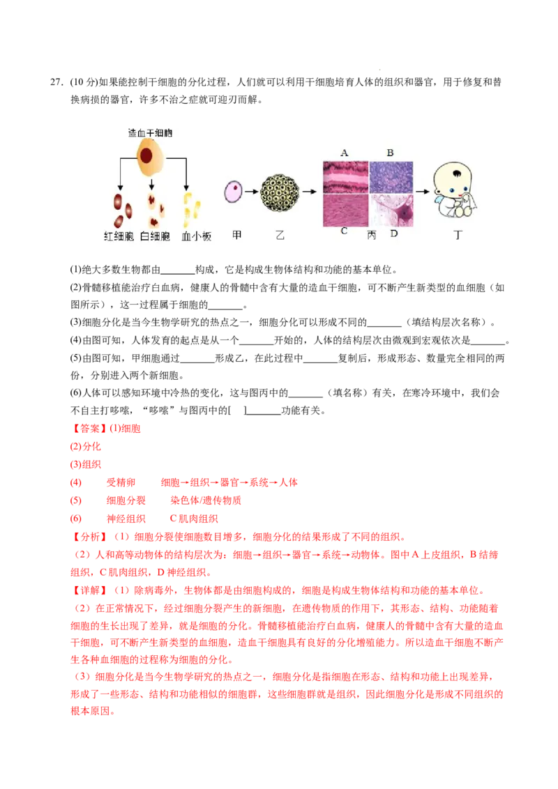 七年级生物期末模拟卷（全解全析）（）_初中全科电子版试卷练习试题_生物_生物人教版7上练习&mdash;24新版已更新_人教生物7年级上期末试卷11份