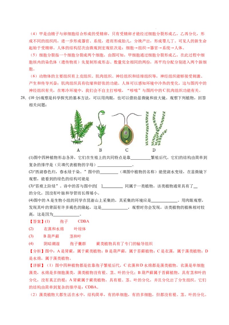 七年级生物期末模拟卷（全解全析）（）_初中全科电子版试卷练习试题_生物_生物人教版7上练习&mdash;24新版已更新_人教生物7年级上期末试卷11份