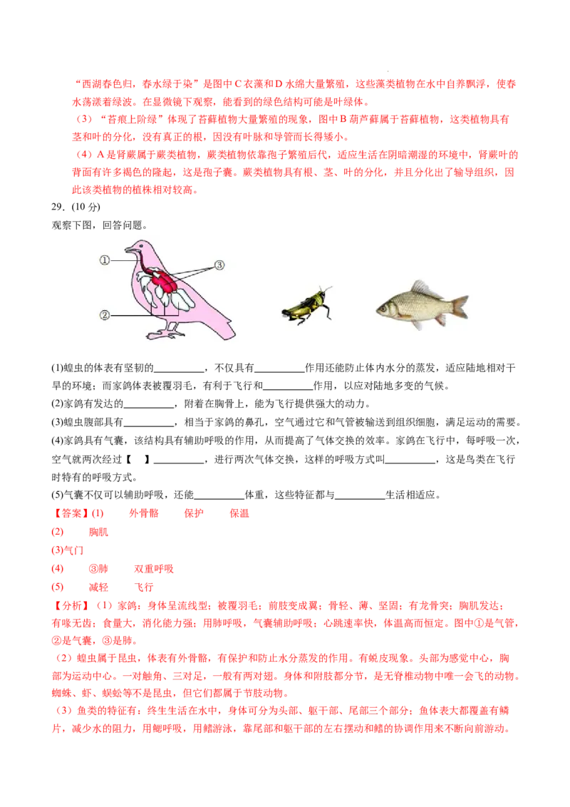 七年级生物期末模拟卷（全解全析）（）_初中全科电子版试卷练习试题_生物_生物人教版7上练习&mdash;24新版已更新_人教生物7年级上期末试卷11份