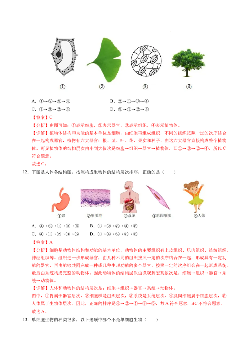 七年级生物期末模拟卷（全解全析）（）_初中全科电子版试卷练习试题_生物_生物人教版7上练习&mdash;24新版已更新_人教生物7年级上期末试卷11份