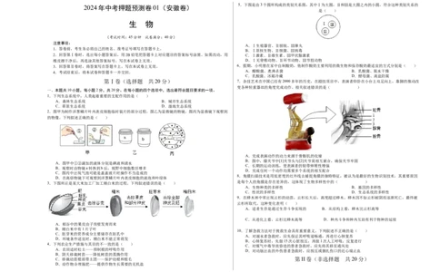 2024年中考押题预测卷01（安徽卷）-生物（考试版A3）_初中全科电子版试卷练习试题_生物_2024中考模拟题生物(1)_押题预测