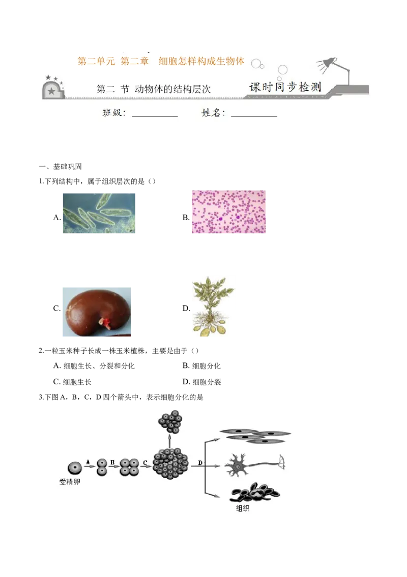 专题2.2.2动物体的结构层次（原卷板）_初中全科电子版试卷练习试题_生物_生物人教版7上练习&mdash;24新版已更新_人教生物7年级上课时练习39份