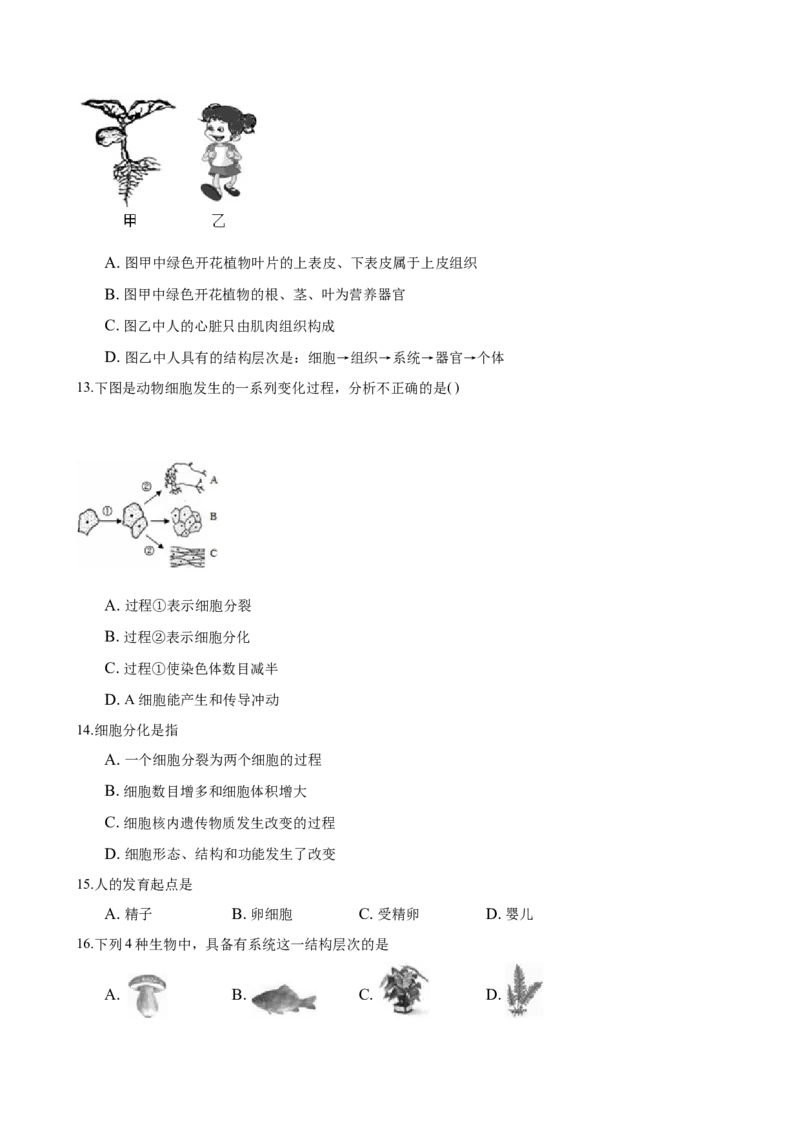 专题2.2.2动物体的结构层次（原卷板）_初中全科电子版试卷练习试题_生物_生物人教版7上练习&mdash;24新版已更新_人教生物7年级上课时练习39份