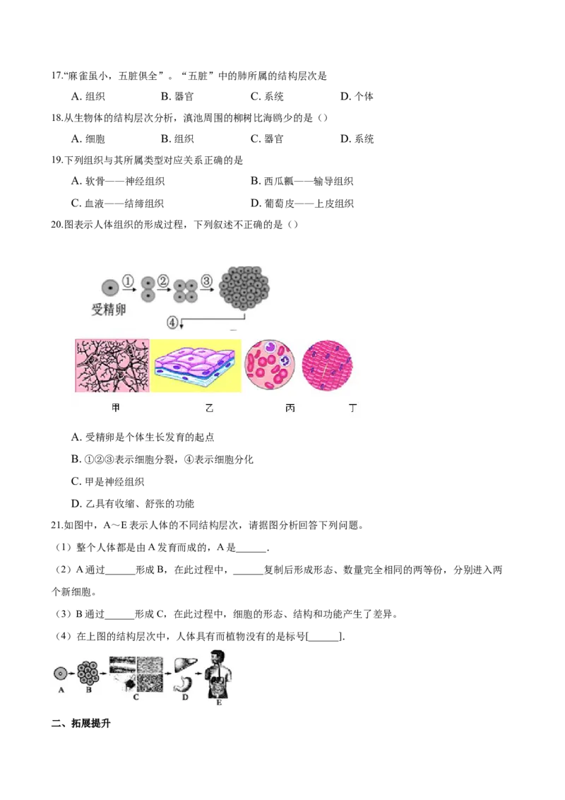 专题2.2.2动物体的结构层次（原卷板）_初中全科电子版试卷练习试题_生物_生物人教版7上练习&mdash;24新版已更新_人教生物7年级上课时练习39份