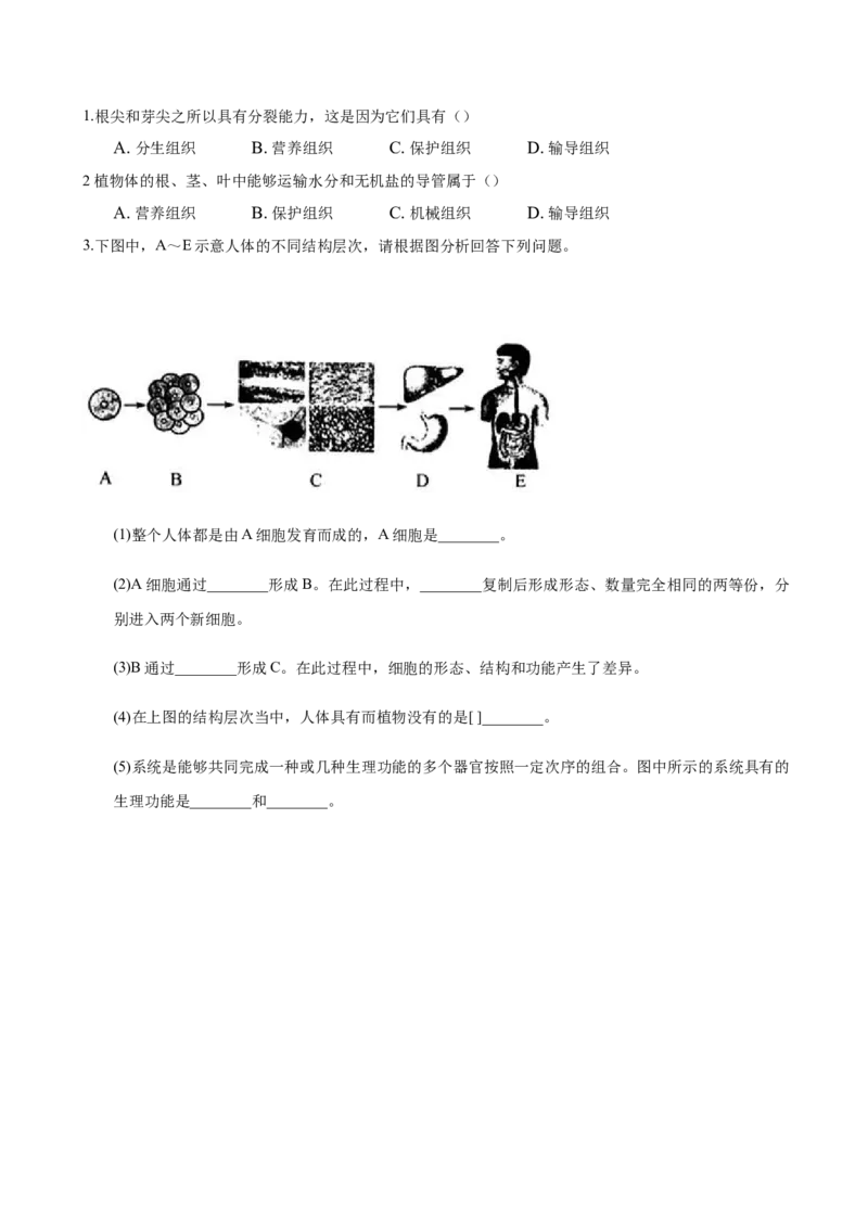 专题2.2.2动物体的结构层次（原卷板）_初中全科电子版试卷练习试题_生物_生物人教版7上练习&mdash;24新版已更新_人教生物7年级上课时练习39份