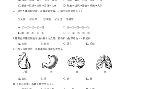 专题2.2.2动物体的结构层次（原卷板）_初中全科电子版试卷练习试题_生物_生物人教版7上练习&mdash;24新版已更新_人教生物7年级上课时练习39份