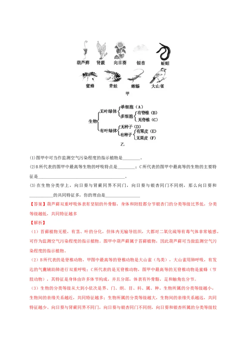 6.1.2从种到界（备作业）-（人教版）（解析版）_初中全科电子版试卷练习试题_生物_生物8上练习_人教生物8年级上课时练习37份_第2套八年级生物上册课时练习（人教版）21份
