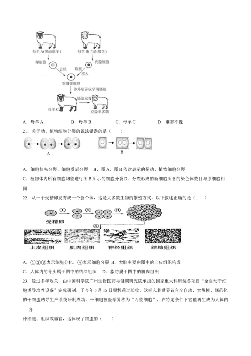 七年级上册人教版期中测试02（原卷版）_初中全科电子版试卷练习试题_生物_生物人教版7上练习&mdash;24新版已更新_人教生物7年级上期中试卷07份