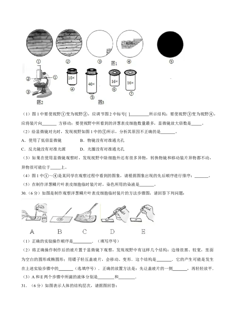 七年级上册人教版期中测试02（原卷版）_初中全科电子版试卷练习试题_生物_生物人教版7上练习&mdash;24新版已更新_人教生物7年级上期中试卷07份