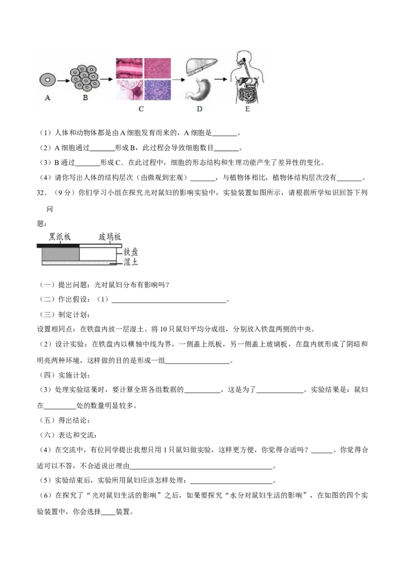 七年级上册人教版期中测试02（原卷版）_初中全科电子版试卷练习试题_生物_生物人教版7上练习&mdash;24新版已更新_人教生物7年级上期中试卷07份
