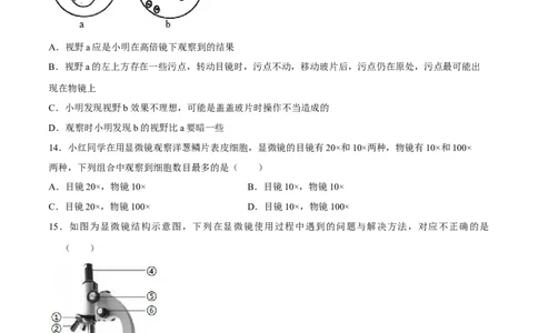 七年级上册人教版期中测试02（原卷版）_初中全科电子版试卷练习试题_生物_生物人教版7上练习&mdash;24新版已更新_人教生物7年级上期中试卷07份