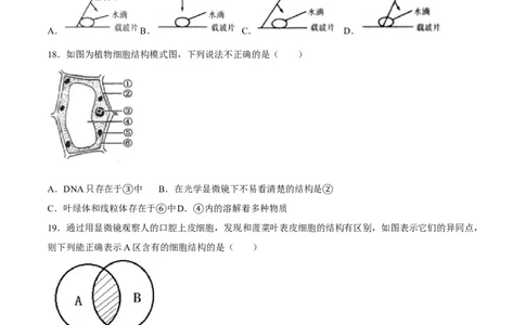 七年级上册人教版期中测试02（原卷版）_初中全科电子版试卷练习试题_生物_生物人教版7上练习&mdash;24新版已更新_人教生物7年级上期中试卷07份