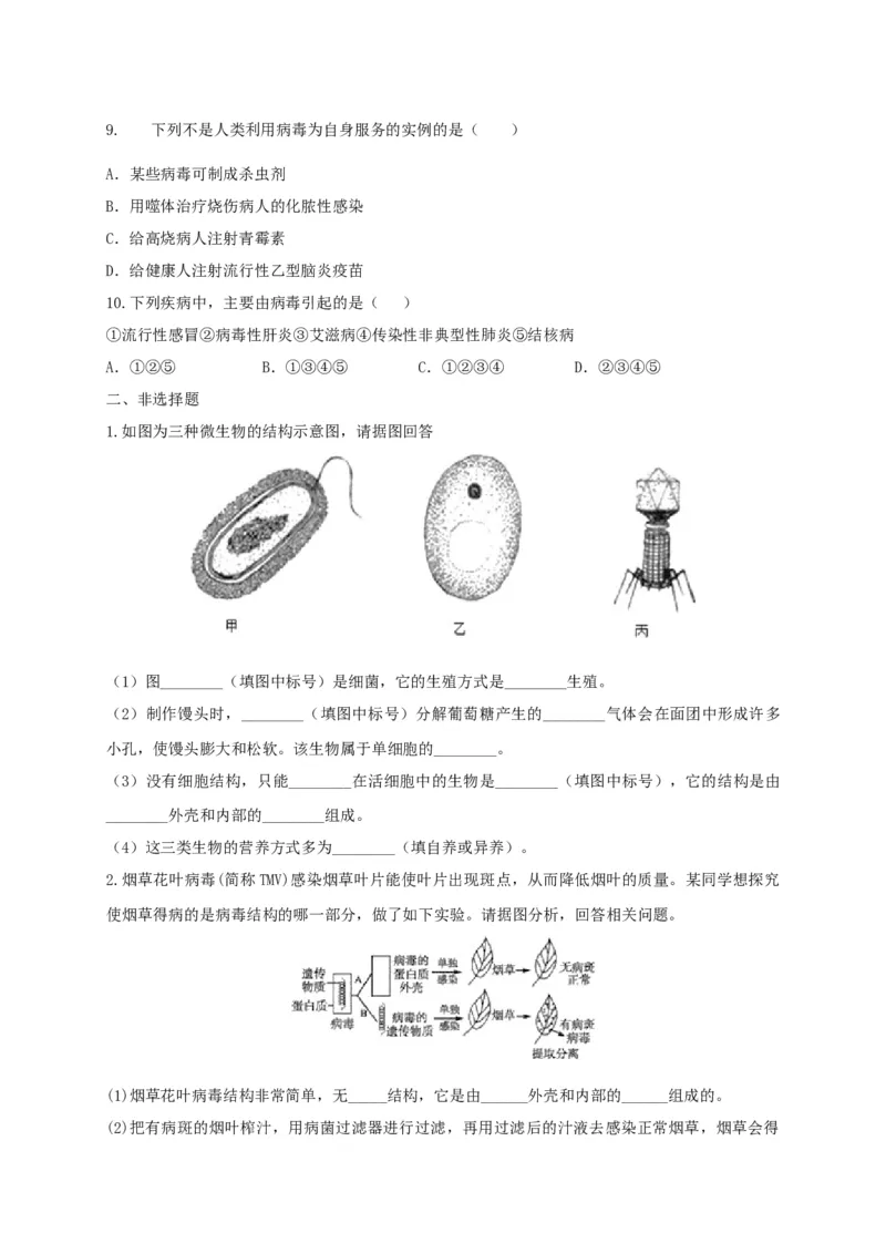 5.5病毒（备作业）-（人教版）（原卷版）_初中全科电子版试卷练习试题_生物_生物8上练习_人教生物8年级上课时练习37份_第2套八年级生物上册课时练习（人教版）21份