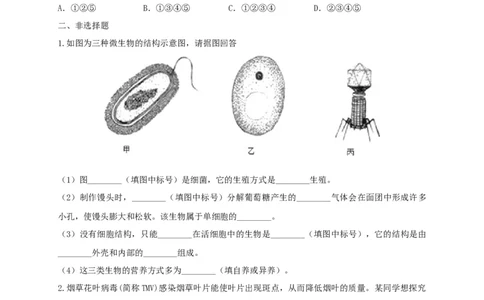 5.5病毒（备作业）-（人教版）（原卷版）_初中全科电子版试卷练习试题_生物_生物8上练习_人教生物8年级上课时练习37份_第2套八年级生物上册课时练习（人教版）21份
