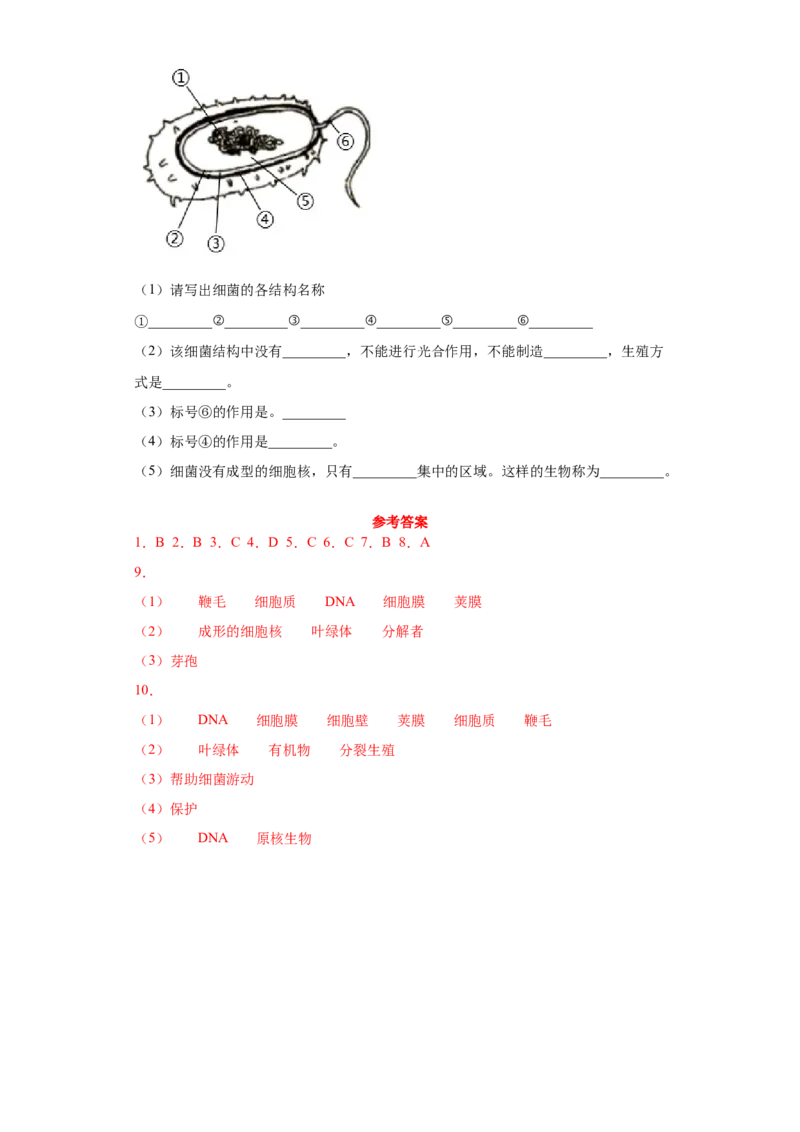 5.4.2细菌（练习）（原卷版）_初中全科电子版试卷练习试题_生物_生物8上练习_人教生物8年级上课时练习37份_第1套八年级生物上册课时练习（人教版）16份