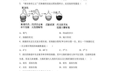 5.4.2细菌（练习）（原卷版）_初中全科电子版试卷练习试题_生物_生物8上练习_人教生物8年级上课时练习37份_第1套八年级生物上册课时练习（人教版）16份