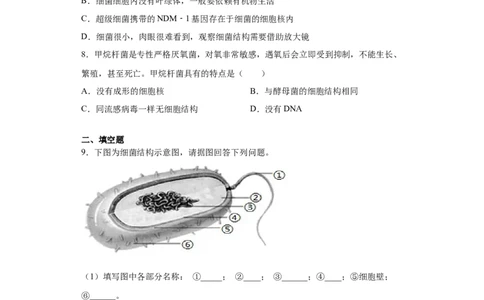 5.4.2细菌（练习）（原卷版）_初中全科电子版试卷练习试题_生物_生物8上练习_人教生物8年级上课时练习37份_第1套八年级生物上册课时练习（人教版）16份