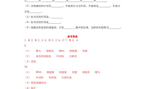 5.4.2细菌（练习）（原卷版）_初中全科电子版试卷练习试题_生物_生物8上练习_人教生物8年级上课时练习37份_第1套八年级生物上册课时练习（人教版）16份
