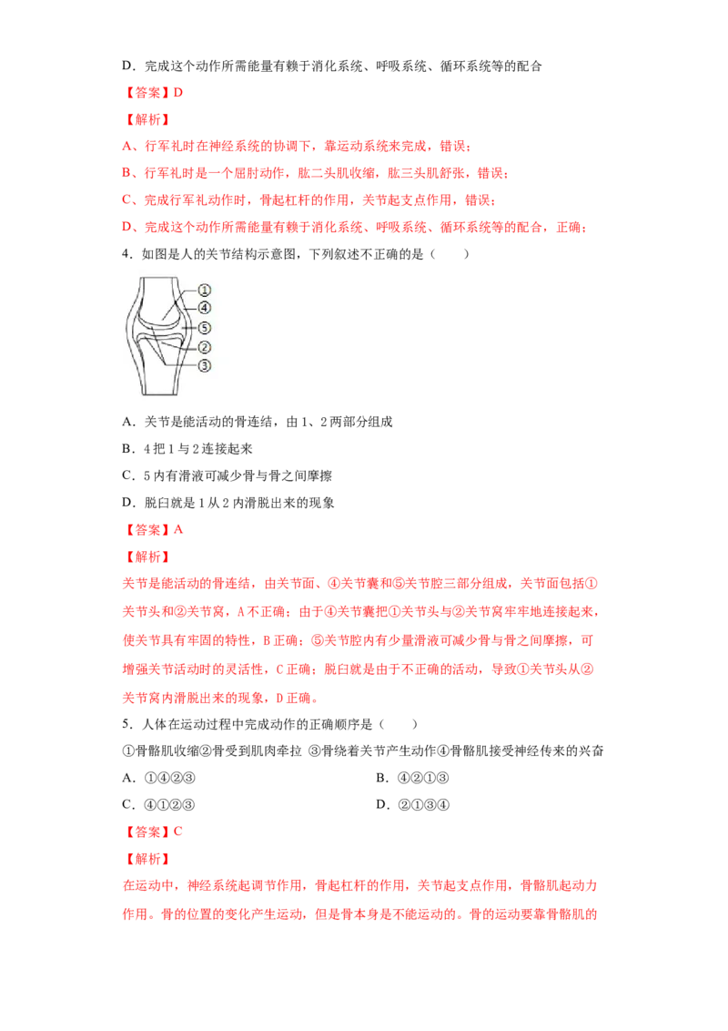 5.2.1动物的运动（练习）（解析版）_初中全科电子版试卷练习试题_生物_生物8上练习_人教生物8年级上课时练习37份_第1套八年级生物上册课时练习（人教版）16份