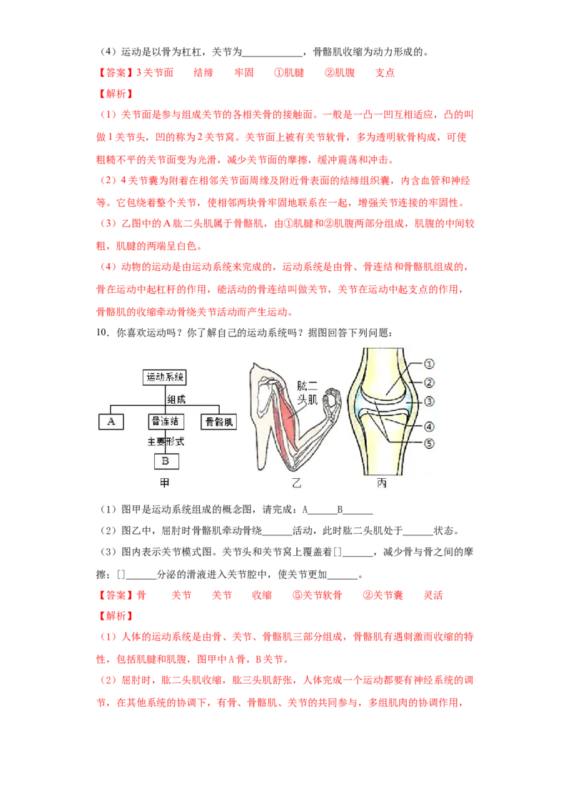 5.2.1动物的运动（练习）（解析版）_初中全科电子版试卷练习试题_生物_生物8上练习_人教生物8年级上课时练习37份_第1套八年级生物上册课时练习（人教版）16份
