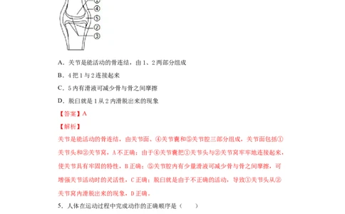 5.2.1动物的运动（练习）（解析版）_初中全科电子版试卷练习试题_生物_生物8上练习_人教生物8年级上课时练习37份_第1套八年级生物上册课时练习（人教版）16份