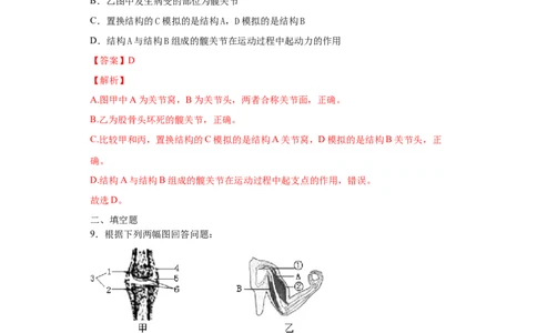 5.2.1动物的运动（练习）（解析版）_初中全科电子版试卷练习试题_生物_生物8上练习_人教生物8年级上课时练习37份_第1套八年级生物上册课时练习（人教版）16份