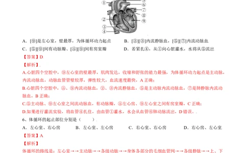 4.4.3输送血液的泵&mdash;心脏（解析版）_初中全科电子版试卷练习试题_生物_生物人教版7下练习_人教生物7年级下课时练习40份_第2套七年级生物下册课时练习（人教版）20份