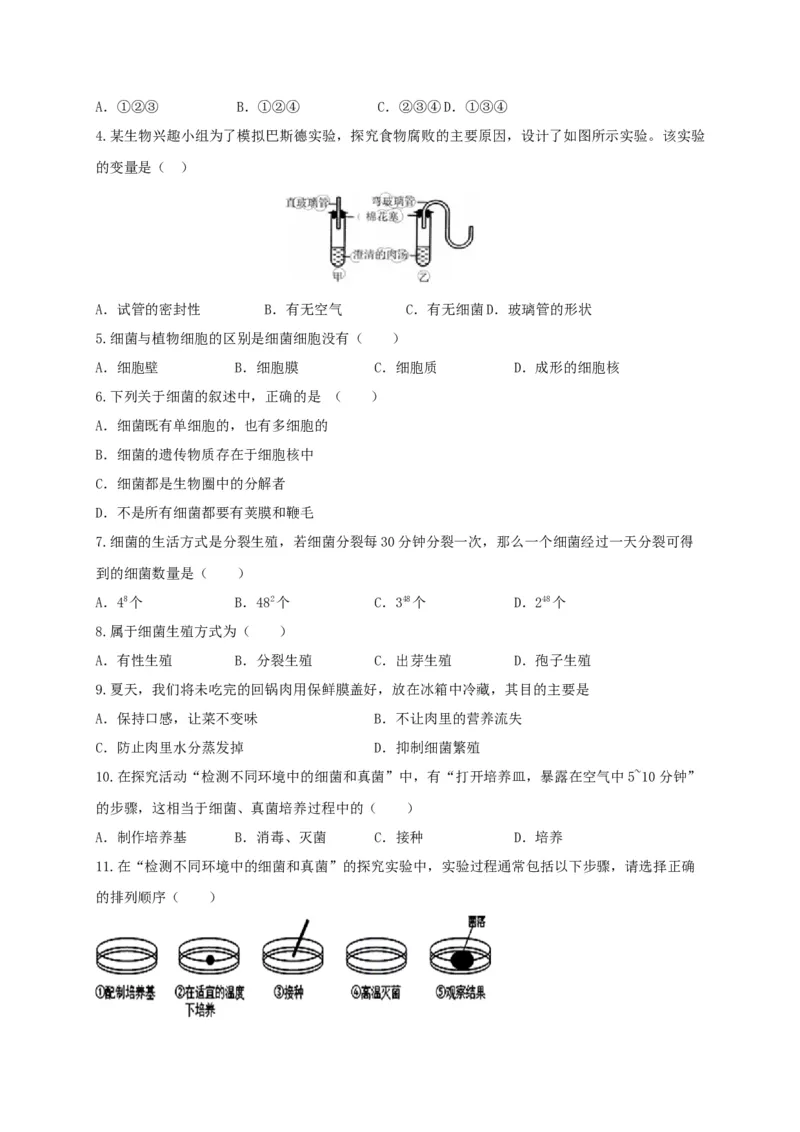 专题04细菌、真菌和病毒-（人教版）（原卷版）_初中全科电子版试卷练习试题_生物_生物8上练习_人教生物8年级上专项练习23份_第1套八年级生物上册专项（人教版）09份