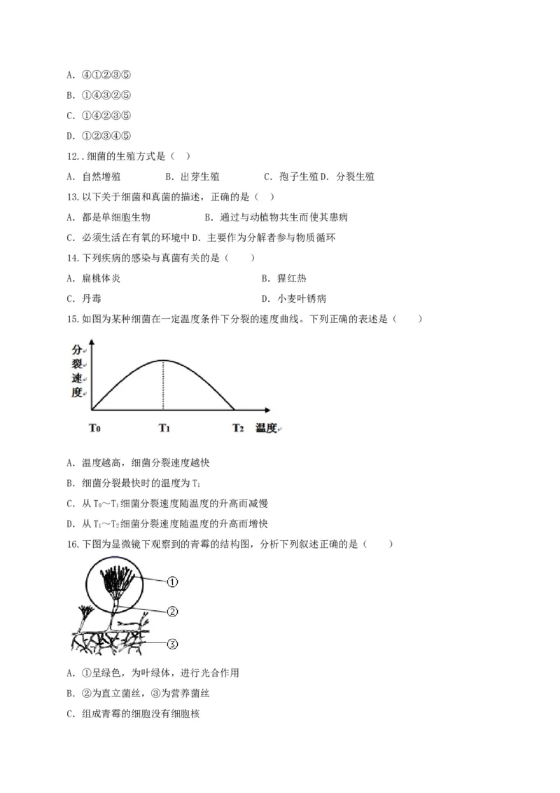 专题04细菌、真菌和病毒-（人教版）（原卷版）_初中全科电子版试卷练习试题_生物_生物8上练习_人教生物8年级上专项练习23份_第1套八年级生物上册专项（人教版）09份