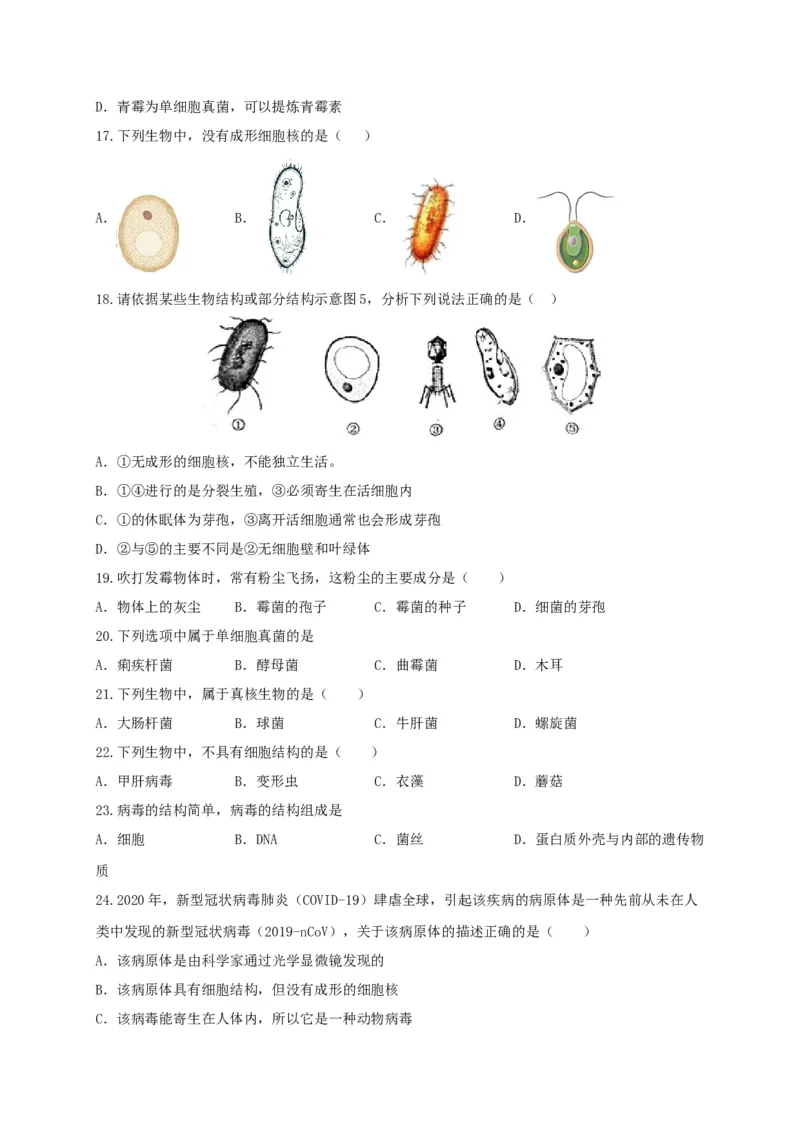 专题04细菌、真菌和病毒-（人教版）（原卷版）_初中全科电子版试卷练习试题_生物_生物8上练习_人教生物8年级上专项练习23份_第1套八年级生物上册专项（人教版）09份