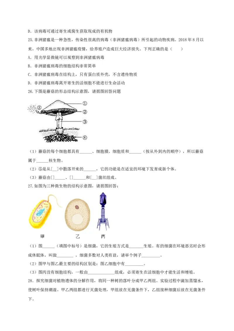 专题04细菌、真菌和病毒-（人教版）（原卷版）_初中全科电子版试卷练习试题_生物_生物8上练习_人教生物8年级上专项练习23份_第1套八年级生物上册专项（人教版）09份