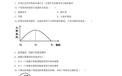 专题04细菌、真菌和病毒-（人教版）（原卷版）_初中全科电子版试卷练习试题_生物_生物8上练习_人教生物8年级上专项练习23份_第1套八年级生物上册专项（人教版）09份