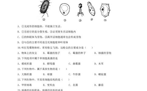 专题04细菌、真菌和病毒-（人教版）（原卷版）_初中全科电子版试卷练习试题_生物_生物8上练习_人教生物8年级上专项练习23份_第1套八年级生物上册专项（人教版）09份