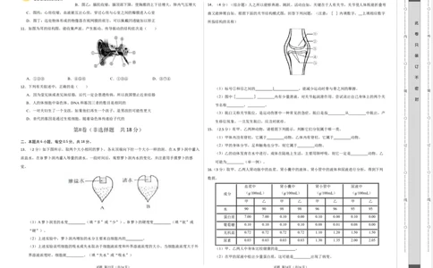 2024年中考押题预测卷01（辽宁卷）-生物（考试版A3）_初中全科电子版试卷练习试题_生物_2024中考模拟题生物(1)_押题预测