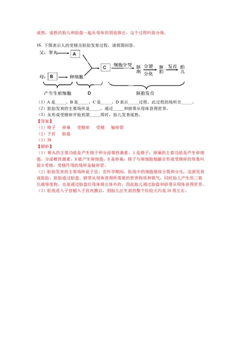 4.1.2人的生殖-（人教版）（解析版）_初中全科电子版试卷练习试题_生物_生物人教版7下练习_人教生物7年级下课时练习40份_第1套七年级生物下册课时练习（人教版）20份