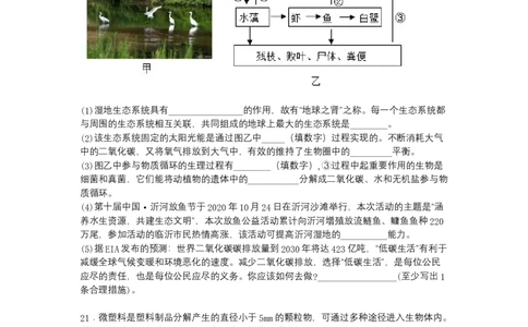 4.7.2探究环境污染对生物的影响-（人教版）（原卷版）_初中全科电子版试卷练习试题_生物_生物人教版7下练习_人教生物7年级下课时练习40份