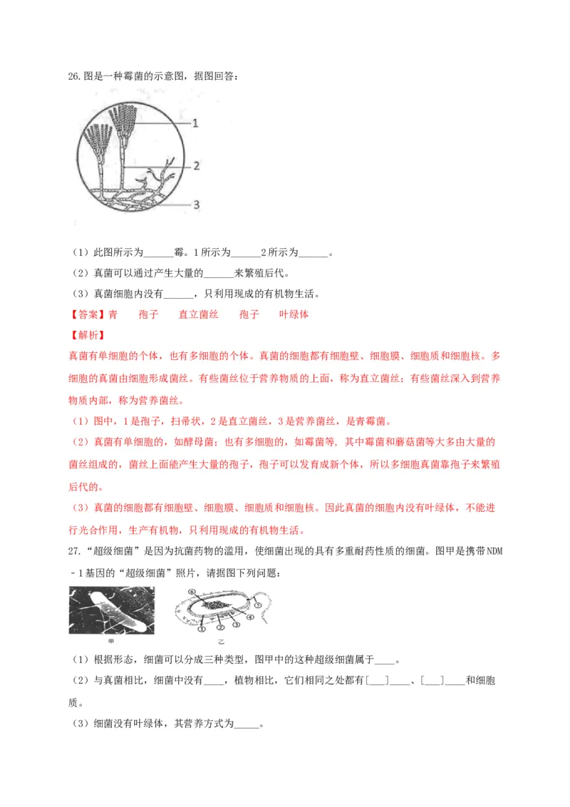 5.4细菌和真菌（章末检测）（备作业）-（人教版）（解析版）_初中全科电子版试卷练习试题_生物_生物8上练习_人教生物8年级上单元试卷48份