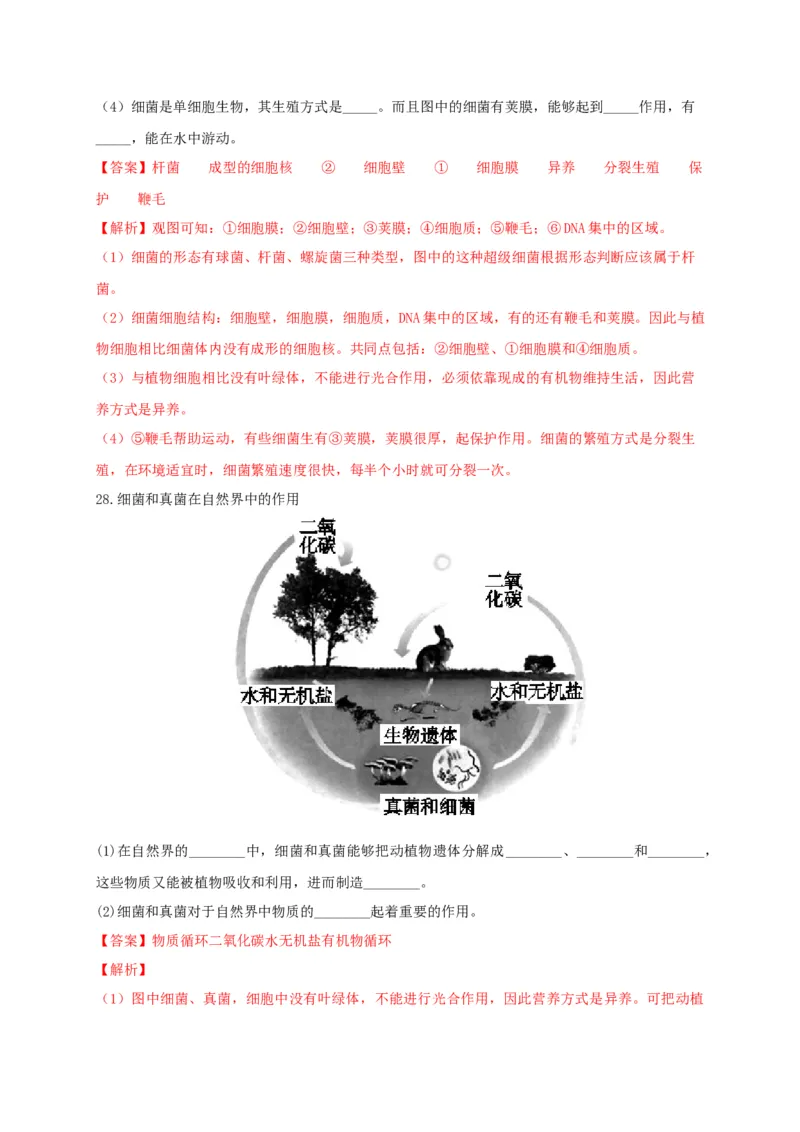 5.4细菌和真菌（章末检测）（备作业）-（人教版）（解析版）_初中全科电子版试卷练习试题_生物_生物8上练习_人教生物8年级上单元试卷48份