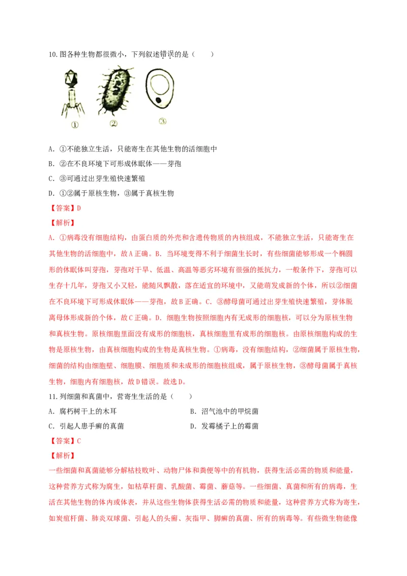5.4细菌和真菌（章末检测）（备作业）-（人教版）（解析版）_初中全科电子版试卷练习试题_生物_生物8上练习_人教生物8年级上单元试卷48份