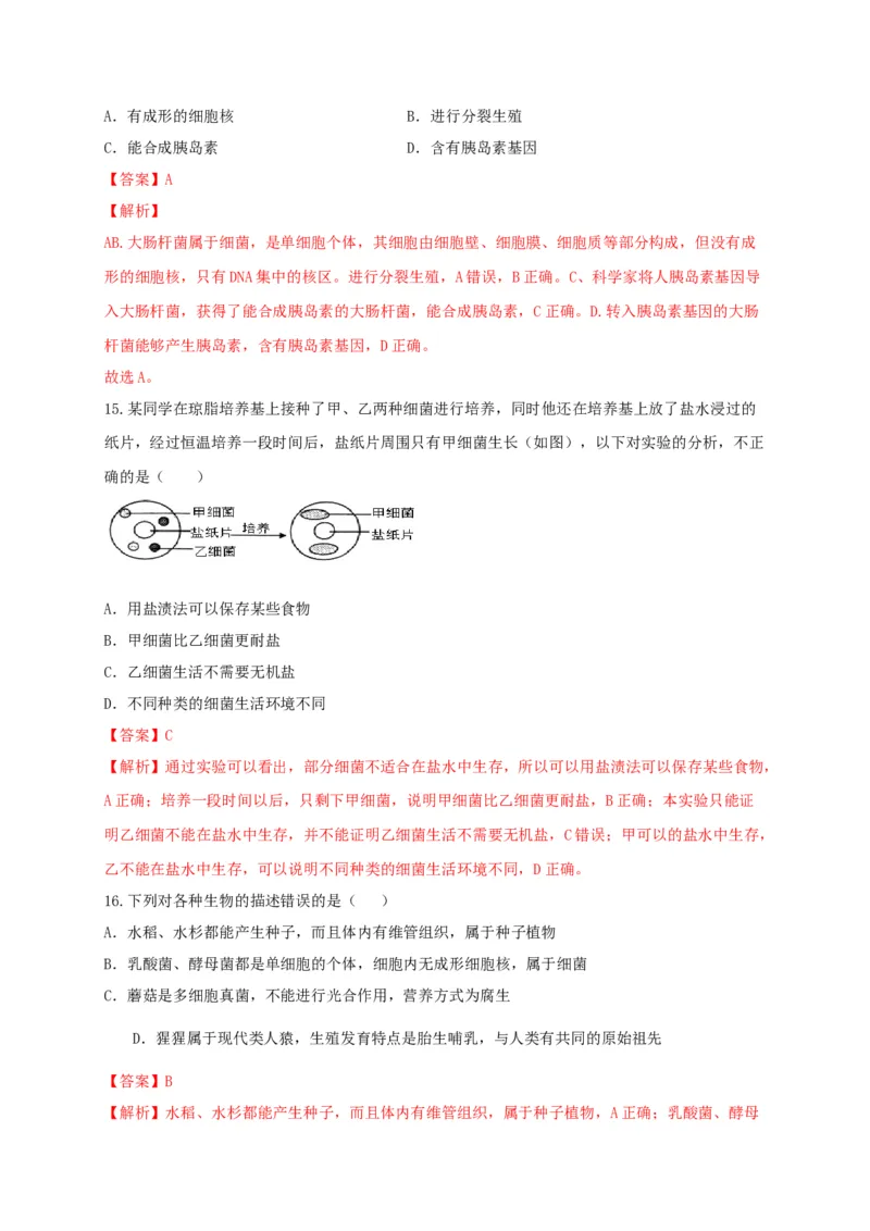 5.4细菌和真菌（章末检测）（备作业）-（人教版）（解析版）_初中全科电子版试卷练习试题_生物_生物8上练习_人教生物8年级上单元试卷48份