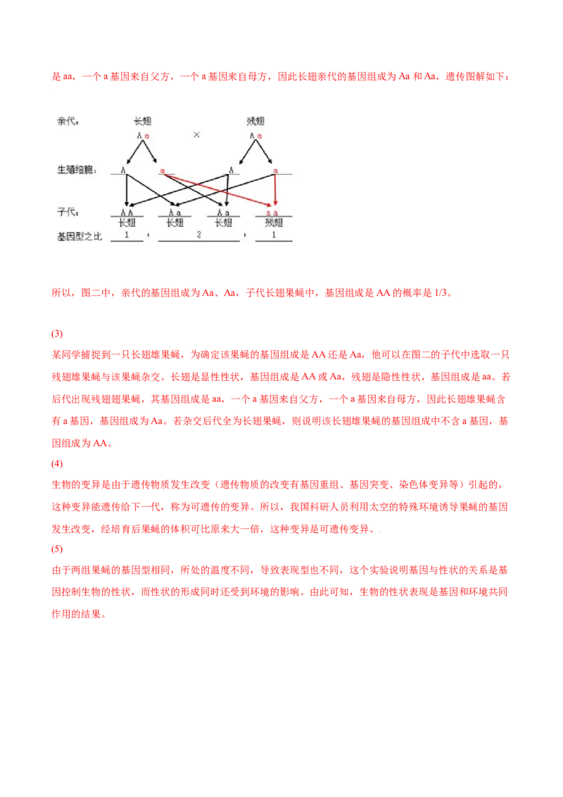 7.2.5生物的变异（练习）-（人教版）（解析版）_初中全科电子版试卷练习试题_生物_生物8下练习_人教生物8年级下课时练习51份