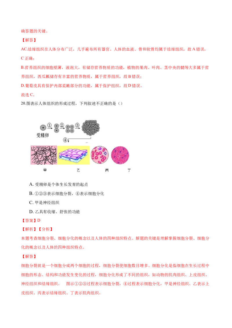 专题2.2.2动物体的结构层次（解析版）_初中全科电子版试卷练习试题_生物_生物人教版7上练习&mdash;24新版已更新_人教生物7年级上课时练习39份