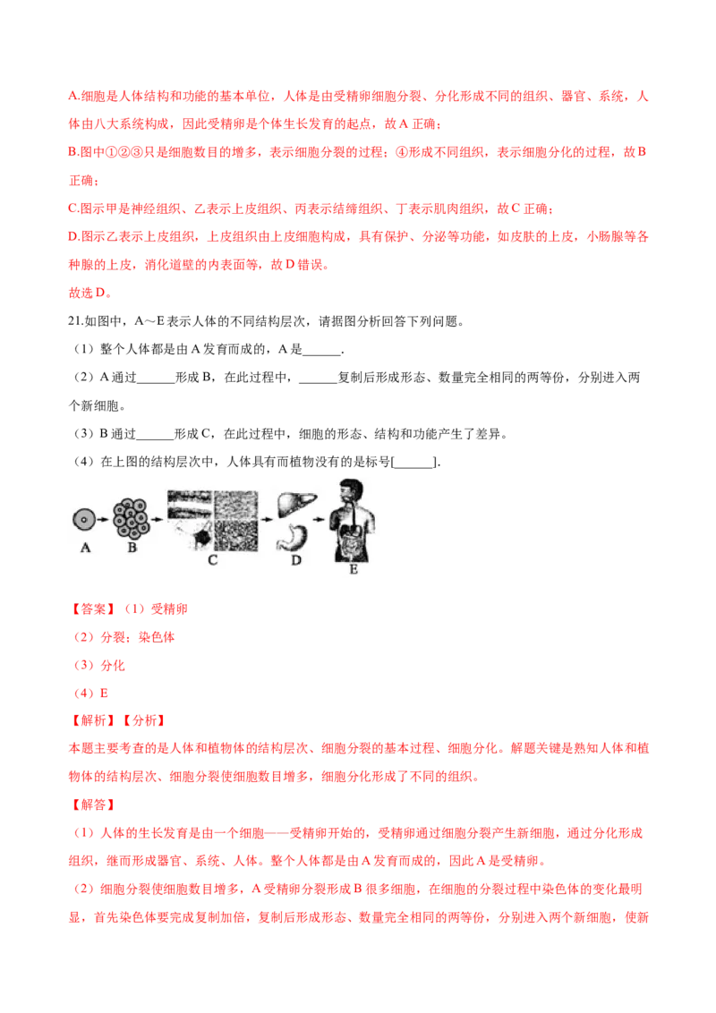专题2.2.2动物体的结构层次（解析版）_初中全科电子版试卷练习试题_生物_生物人教版7上练习&mdash;24新版已更新_人教生物7年级上课时练习39份