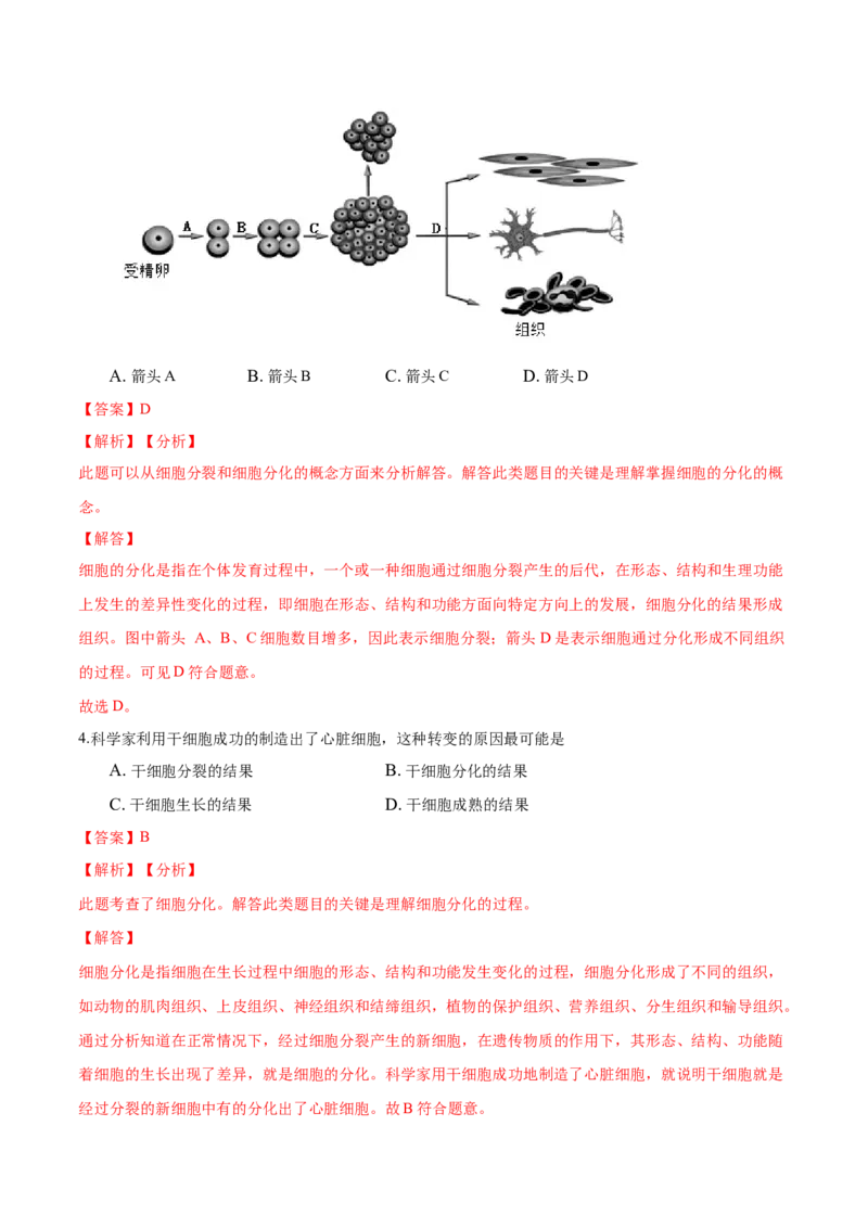 专题2.2.2动物体的结构层次（解析版）_初中全科电子版试卷练习试题_生物_生物人教版7上练习&mdash;24新版已更新_人教生物7年级上课时练习39份